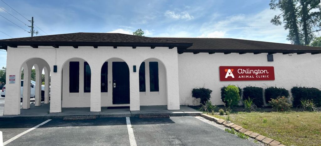 Welcome to Arlington Animal Clinic: Your Local Vet&nbsp;Blog